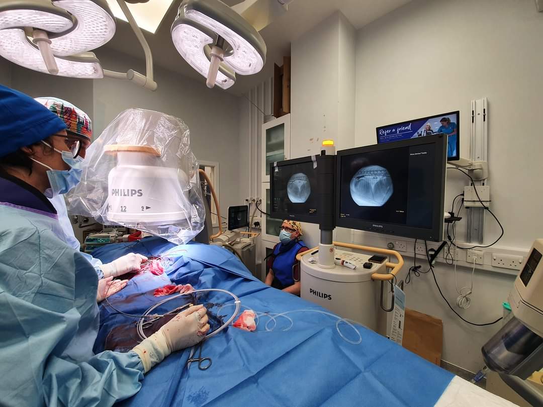 operating theatre in action - surgery being carried out