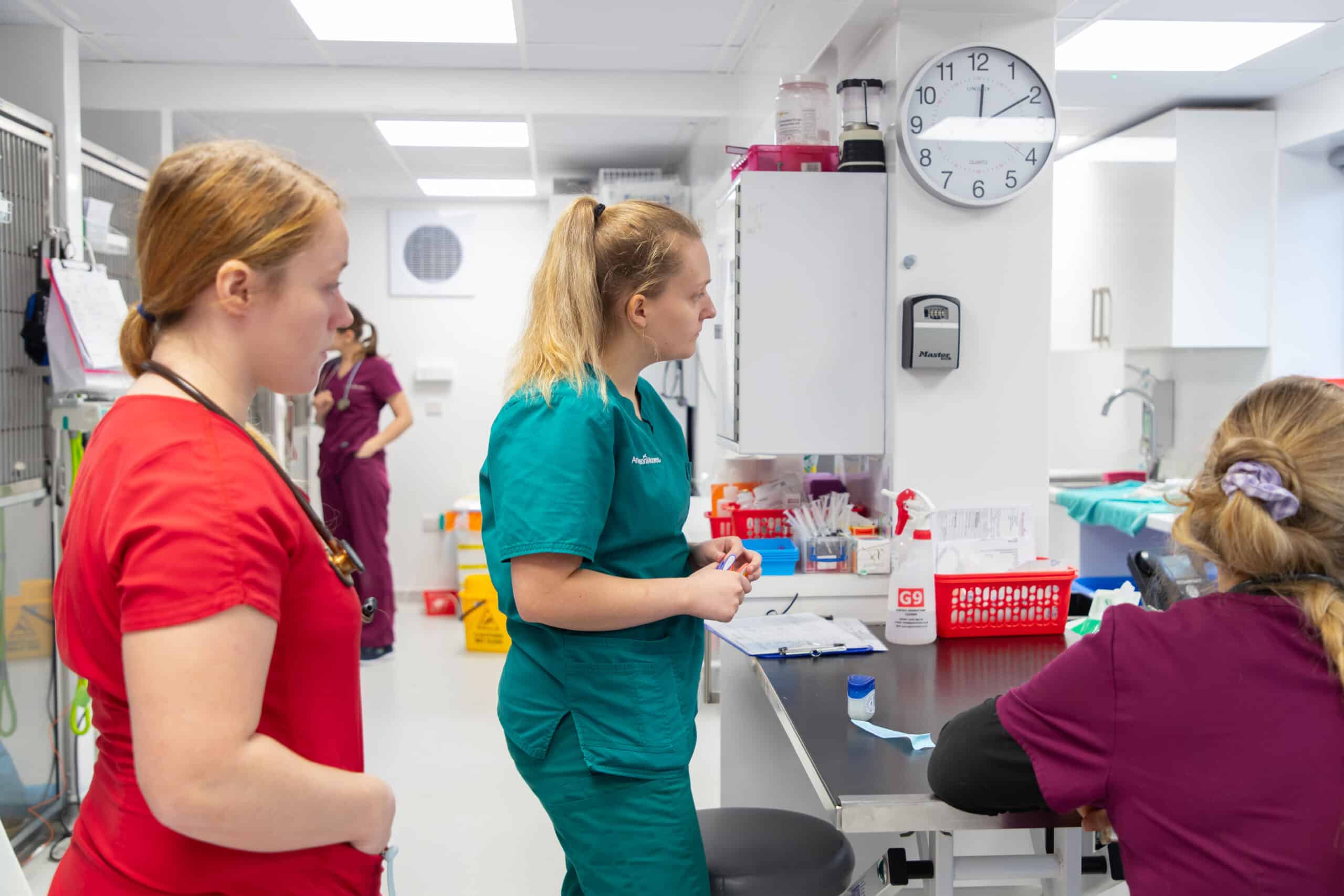 female nurses in a clinic area