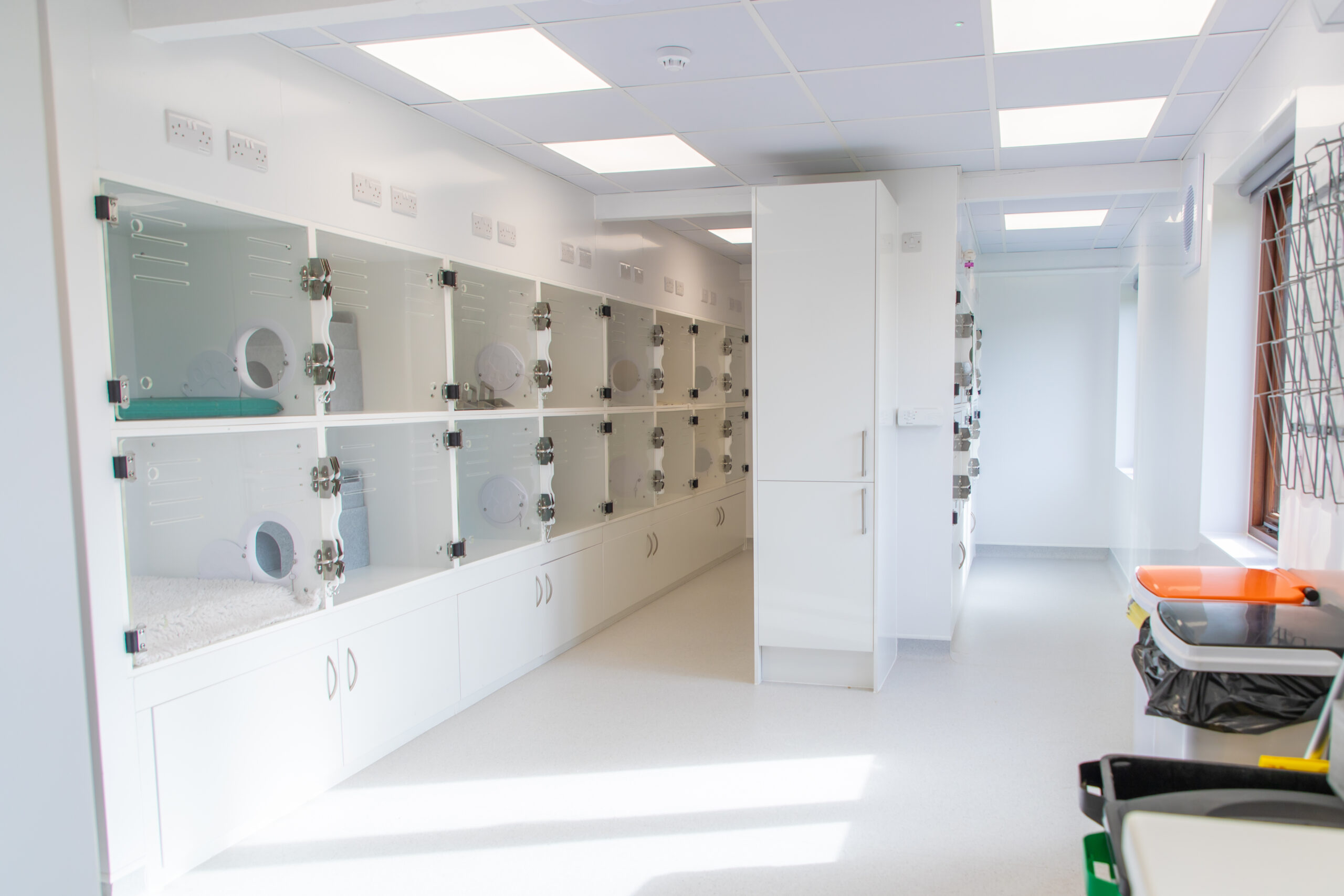 image of a white coloured vet clinic