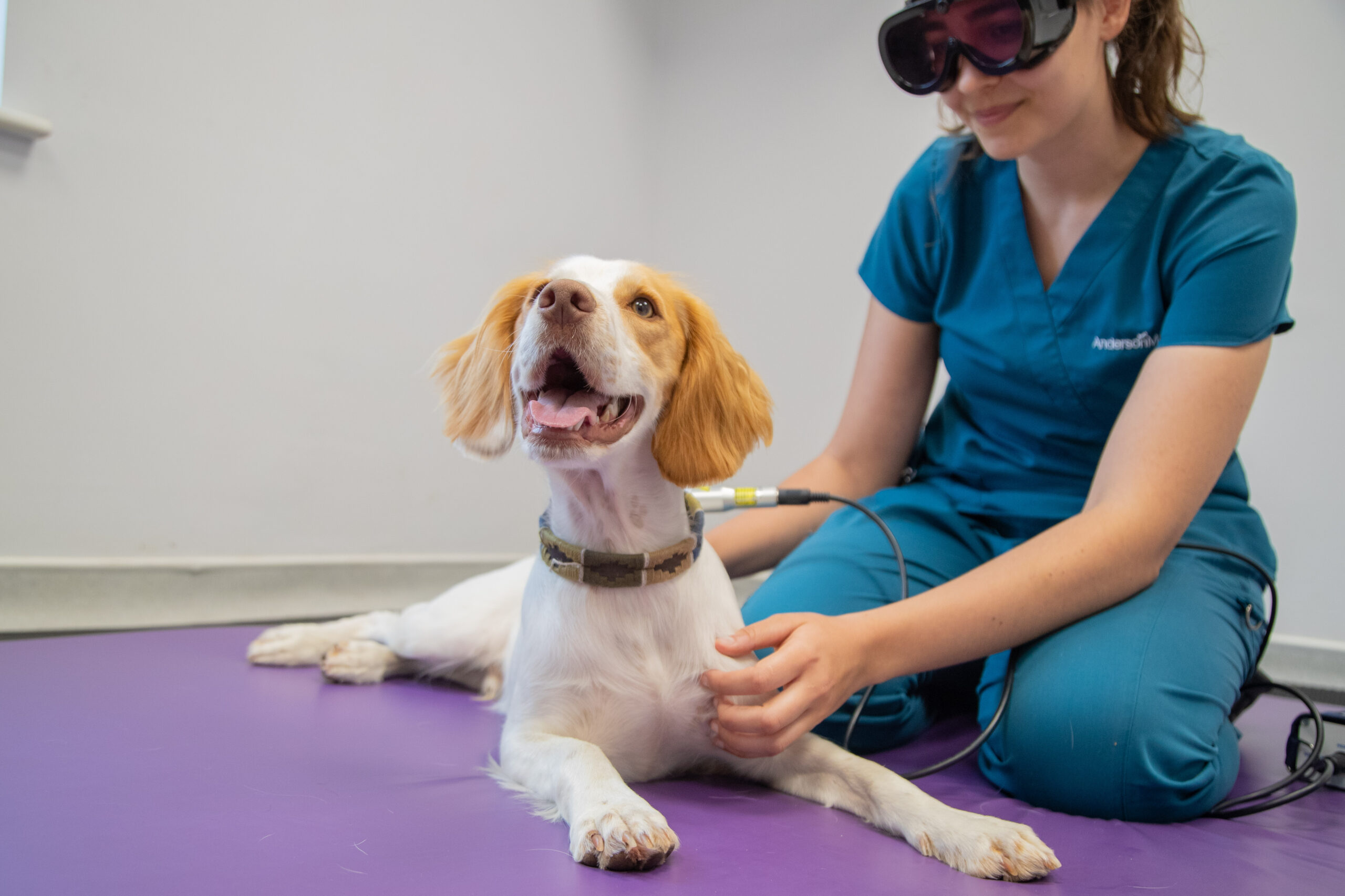 Vet wearing protective eye goggles sitting beside dog using medical instrument