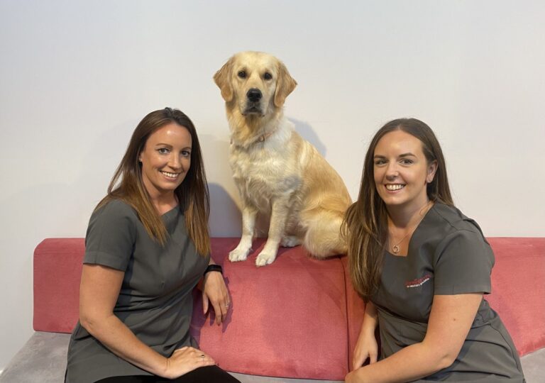 Veterinary Receptionist Appreciation Day Anderson Moores Hampshire