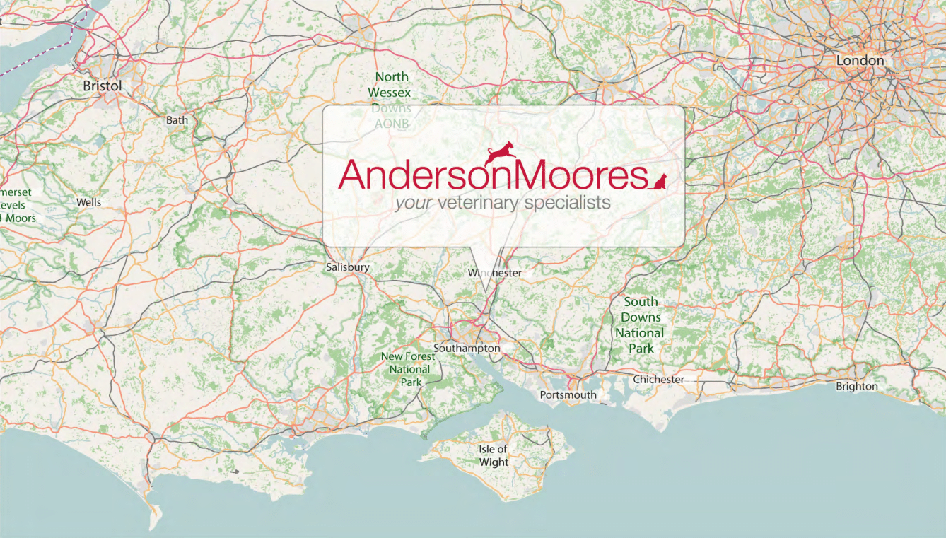 Anderson Moores main map