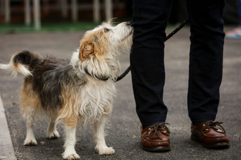 p2401046526-o883416270-5