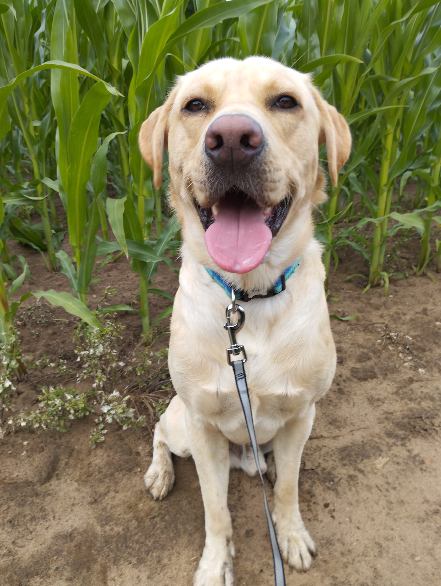 Eddie's Long Joint Journey Anderson Moores Winchester