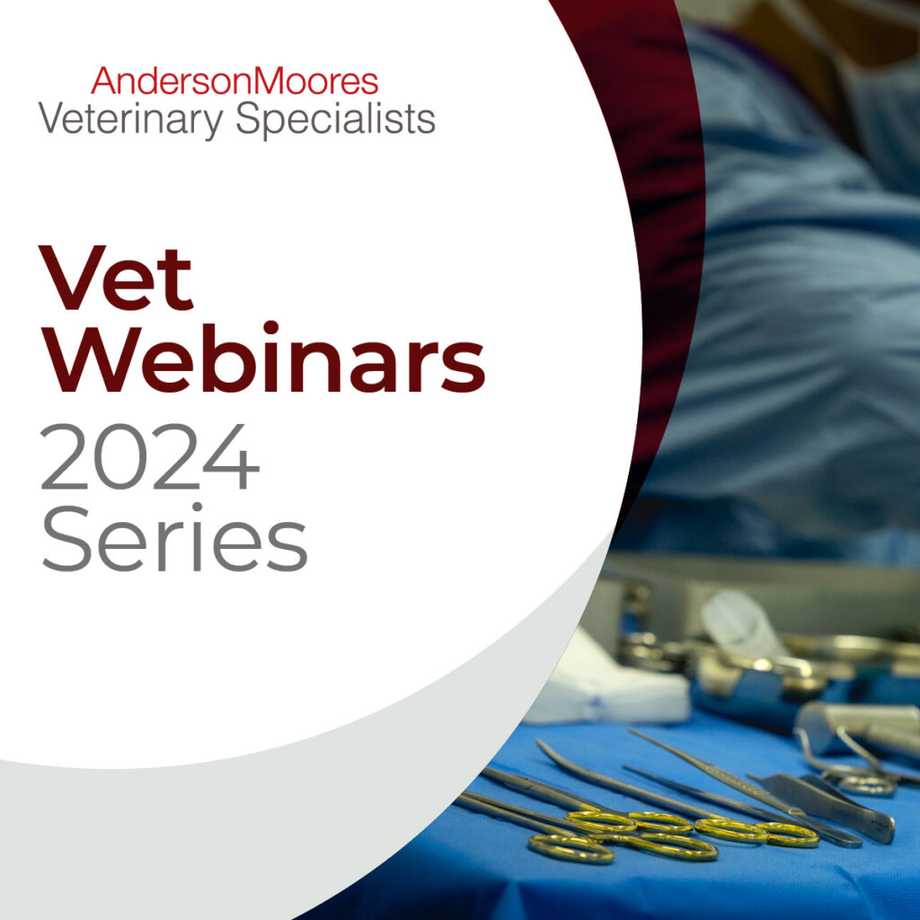 AMVS Vet Webinars 2024 series flyer