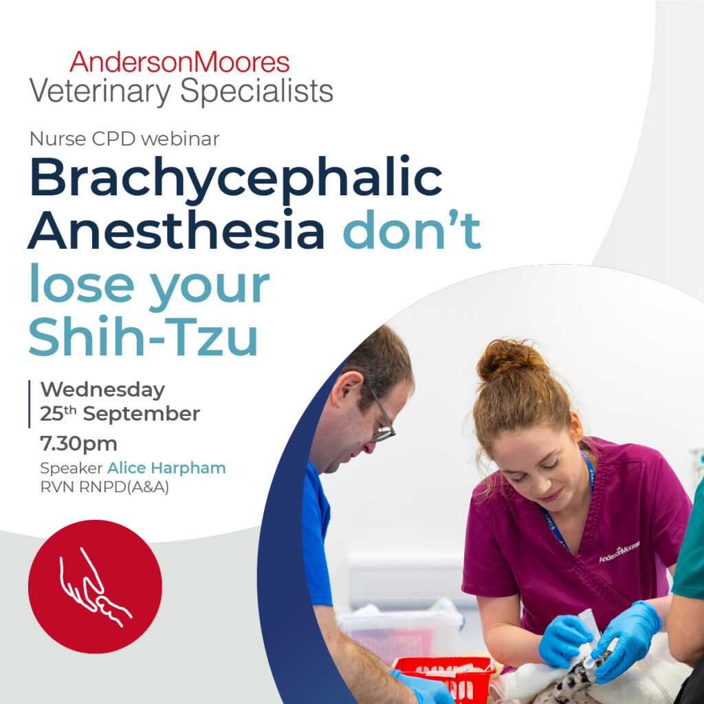 AMVS Nurse CPD Webinar Brachycephalic Anesthesia - information