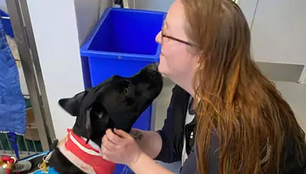 Finn’s Frightening Journey