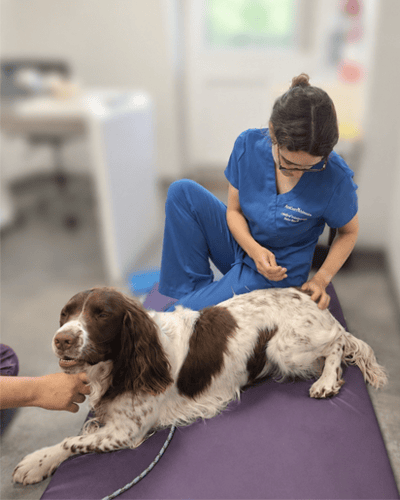 Acupuncture in pain clinic