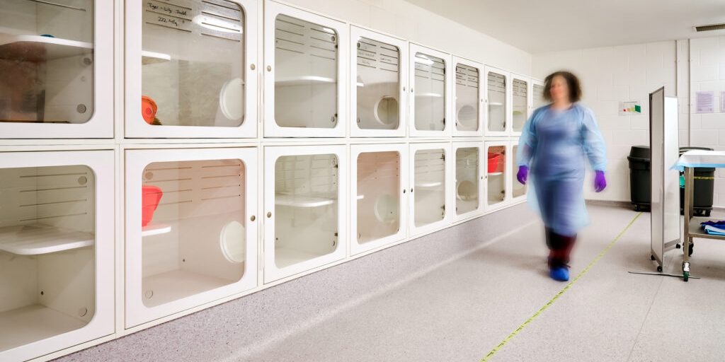 blurred image of a female in scrubs walking alongside the square spaces in the cat clinic
